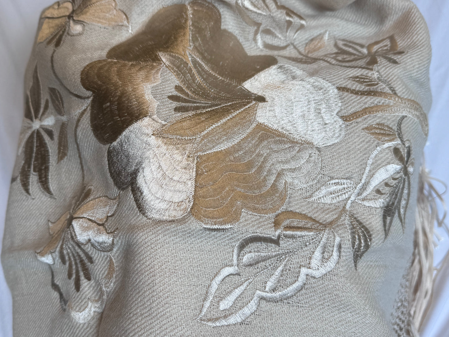 Premium Beige Carnation