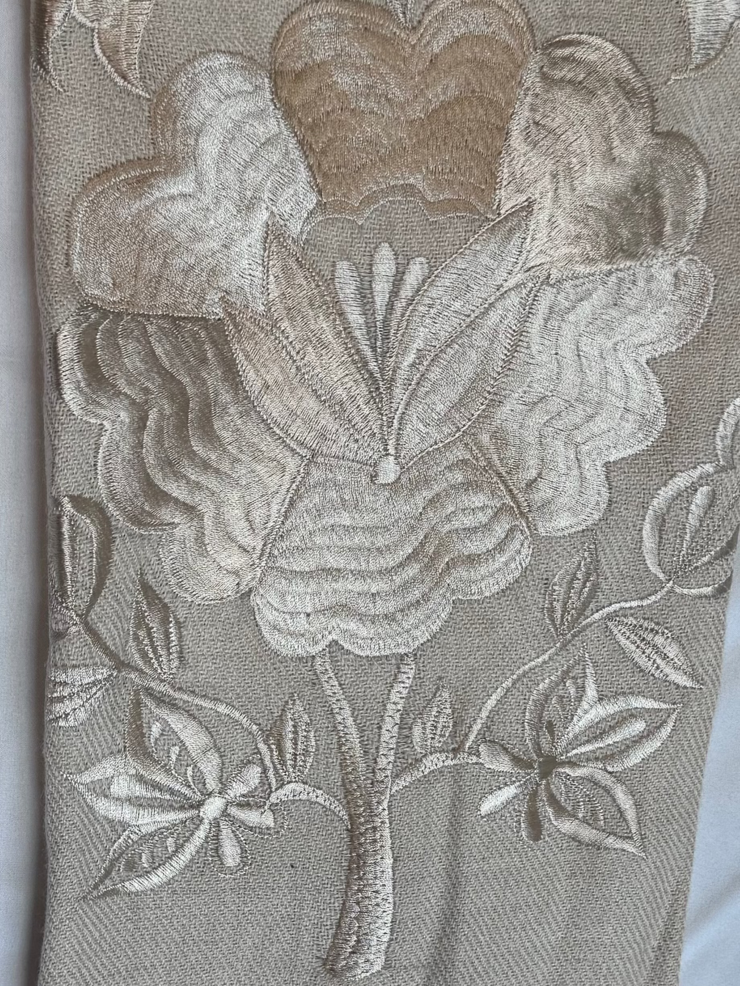 Premium Beige Carnation