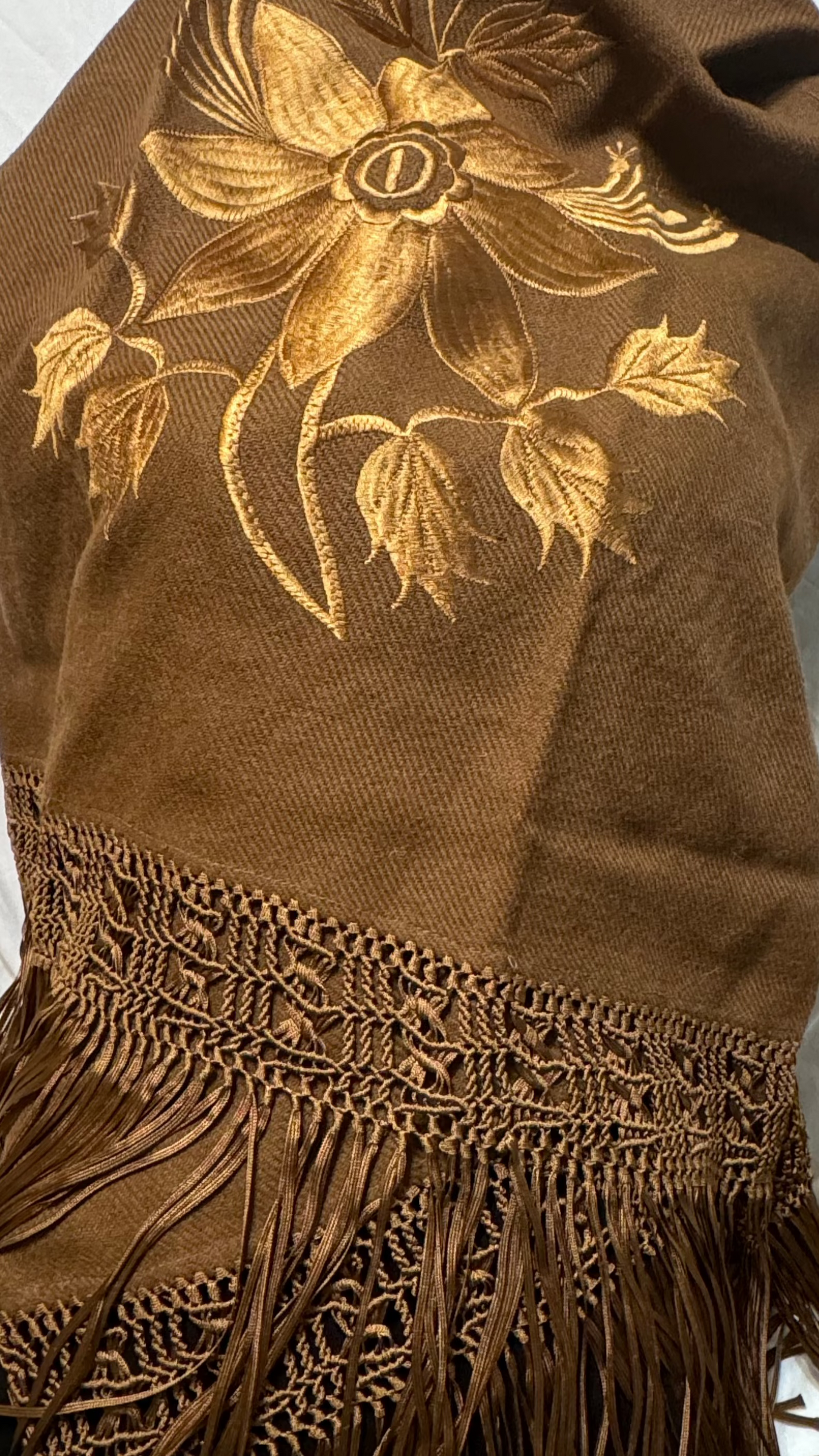 Premium Brown Girasol