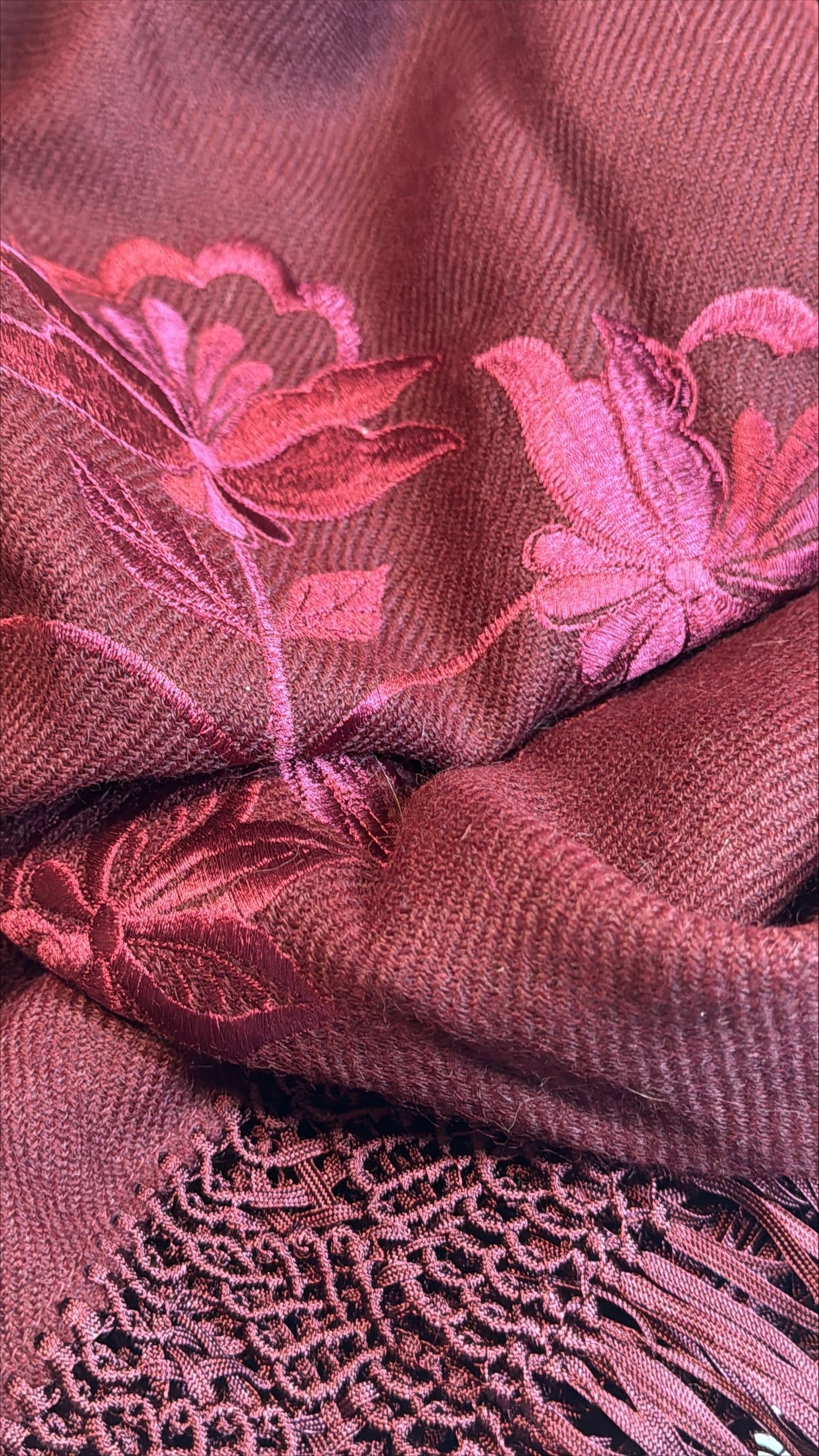 Premium Burgandy Carnation