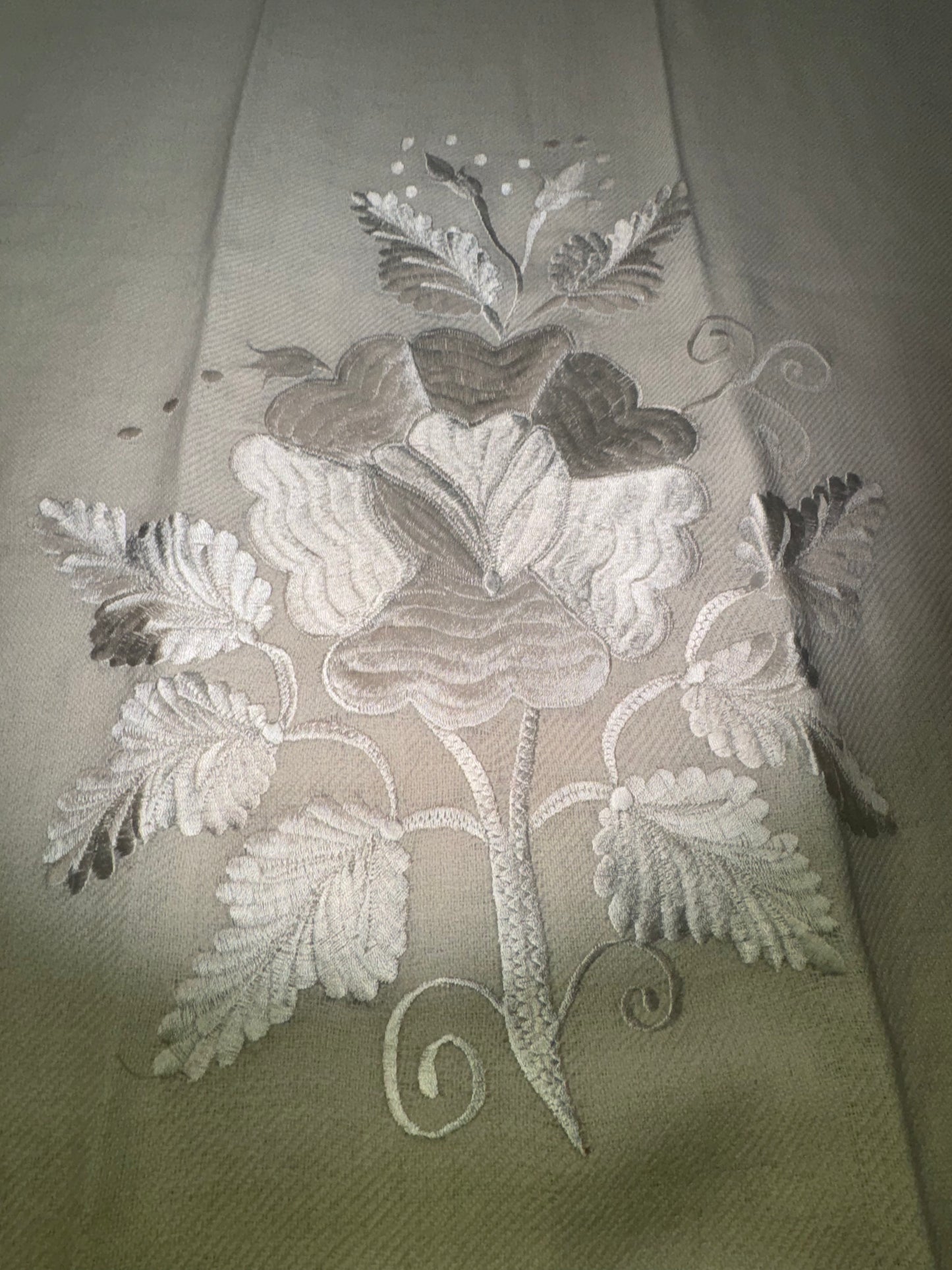 Premium Champaign Carnation