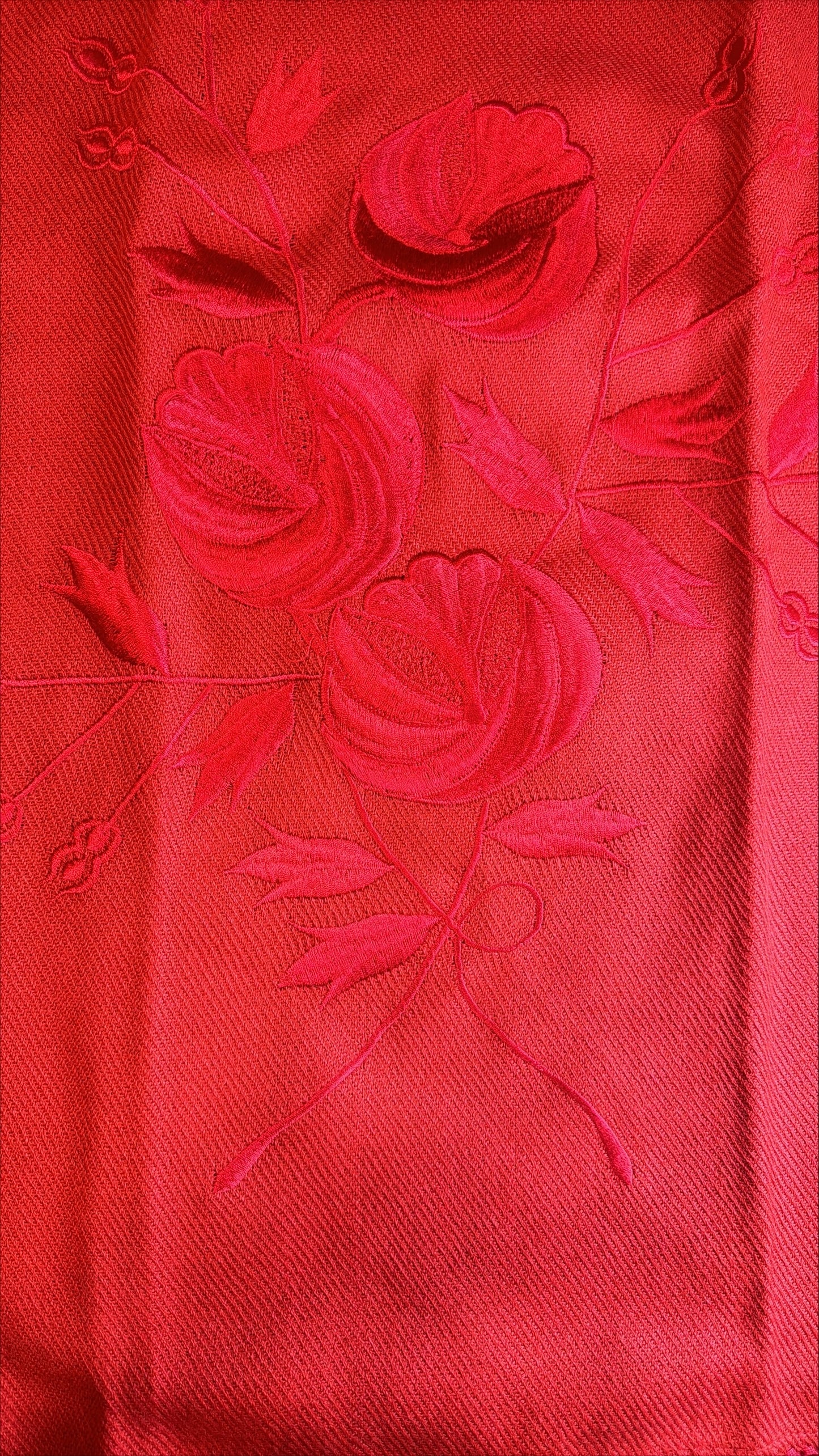 Premium Red Rose